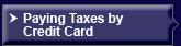 Paying Taxes by Credit Card